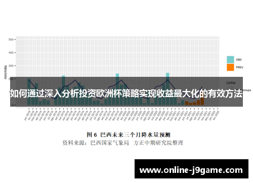 如何通过深入分析投资欧洲杯策略实现收益最大化的有效方法